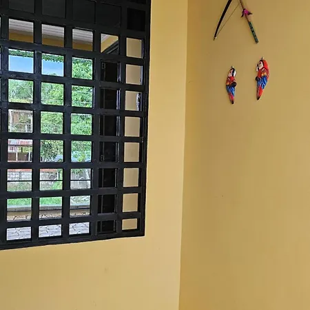 Amazon Minimalist Apartment Leticia Exterior photo